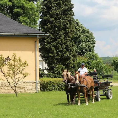 Varga Vendeghaz Vendégház Olaszfalu